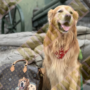 Unedesin × LV “True Companion” Custom Pet Portrait Edition