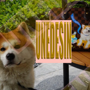 Unedesin “Heart on Wheels” Custom Pet Trunk Edition