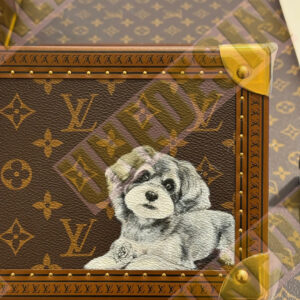 Unedesin × LV “Puppy Paradise” Trunk Edition