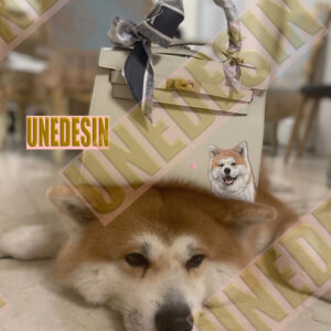 Unedesin “Little Walker” Mini Canvas Tote