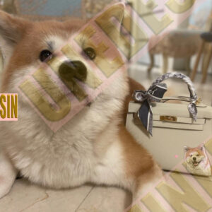 Unedesin “Little Walker” Mini Canvas Tote