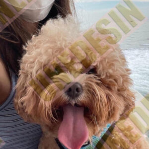 Unedesin “Little Walker” Mini Canvas Tote