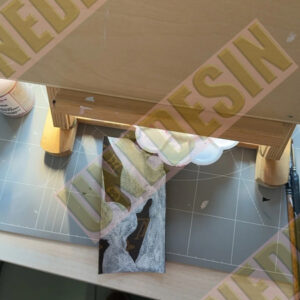 Unedesin “Cartoon Parade” Canvas Tote Series