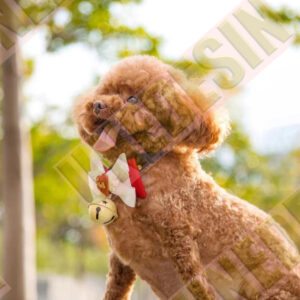 Unedesin “Little Walker” Mini Canvas Tote